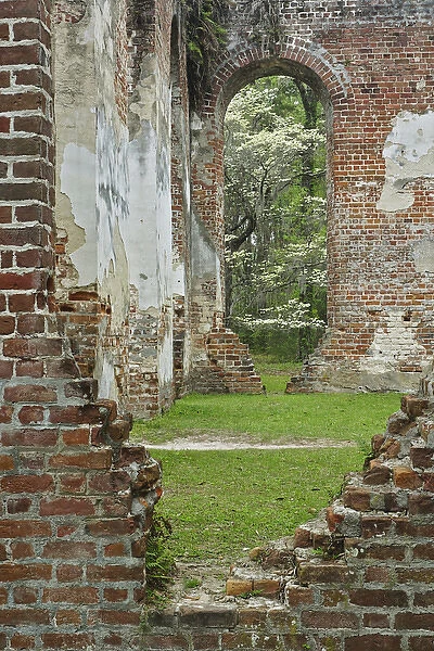 Red brick ruins of the Church of Prince Williams Parish known as Sheldon, buit between 1745-1755