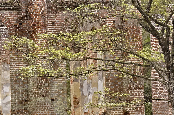 Red brick ruins of the Church of Prince Williams Parish known as Sheldon, buit between 1745-1755
