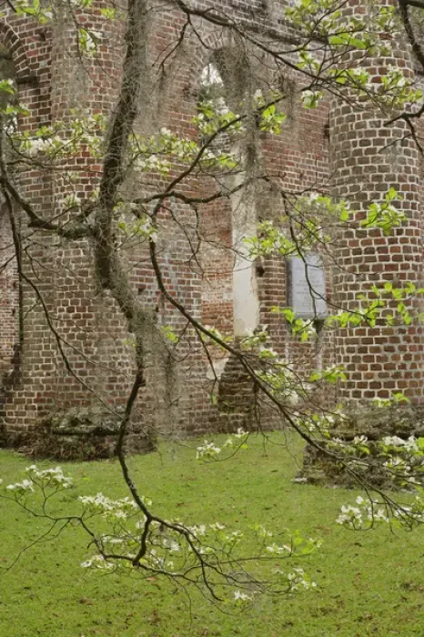 Framed Print : Red brick ruins of the Church of Prince Williams Parish known as Sheldon, buit between 1745-1755 Framed Print : Red brick ruins of the Church of Prince Williams Parish known as Sheldon, buit between 1745-1755