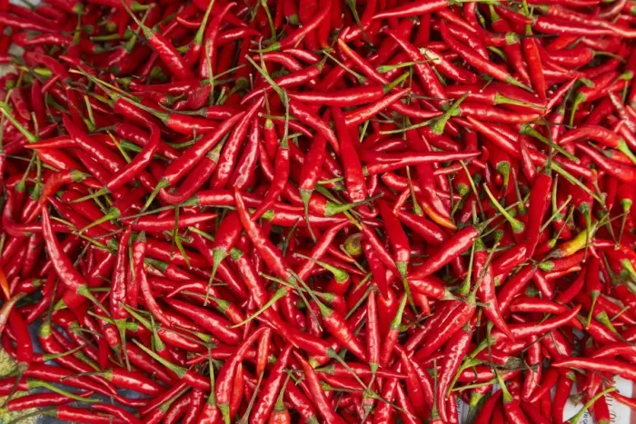 Framed Print : Red chilli, Dong Ba Market, Hue, Thua Thien-Hue Province, North Central Coast, Vietnam Framed Print : Red chilli, Dong Ba Market, Hue, Thua Thien-Hue Province, North Central Coast, Vietnam