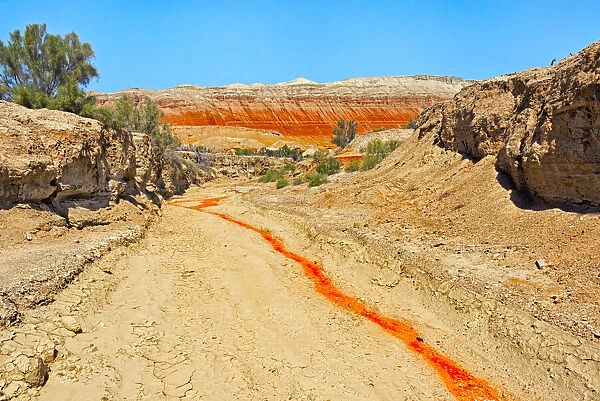 Red clay soil carried down by water, Aktau Mountain, Altyn-Emel National Park, Kazakhstan