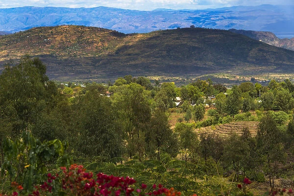 Red flowers and farmland in the mountain, Konso, Ethiopia
