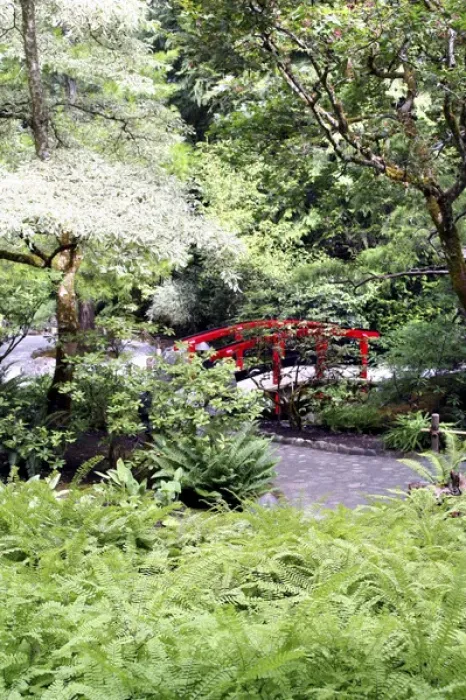 Framed Print : Red footbridge in Japanese Garden at Butchart Gardens Victoria British Columbia Canada Framed Print : Red footbridge in Japanese Garden at Butchart Gardens Victoria British Columbia Canada