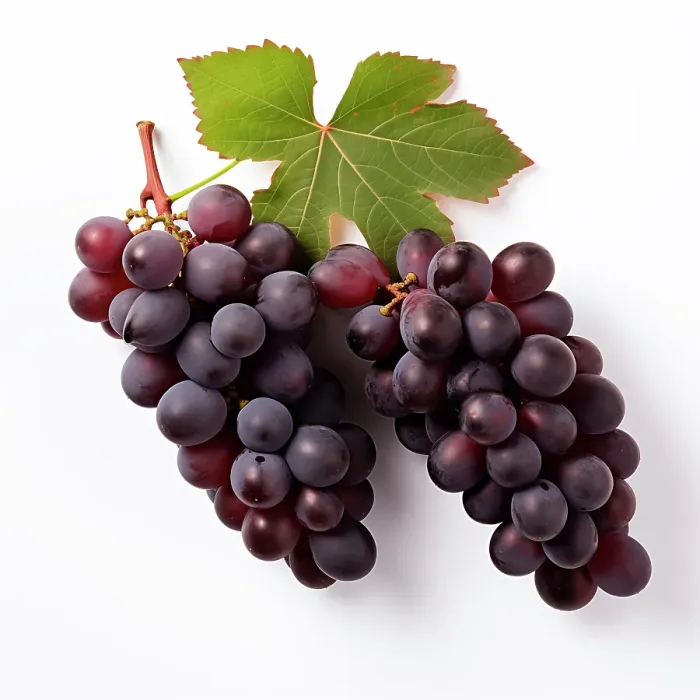 Framed Print : Red grapes close-up. (AI Generated) Framed Print : Red grapes close-up. (AI Generated)