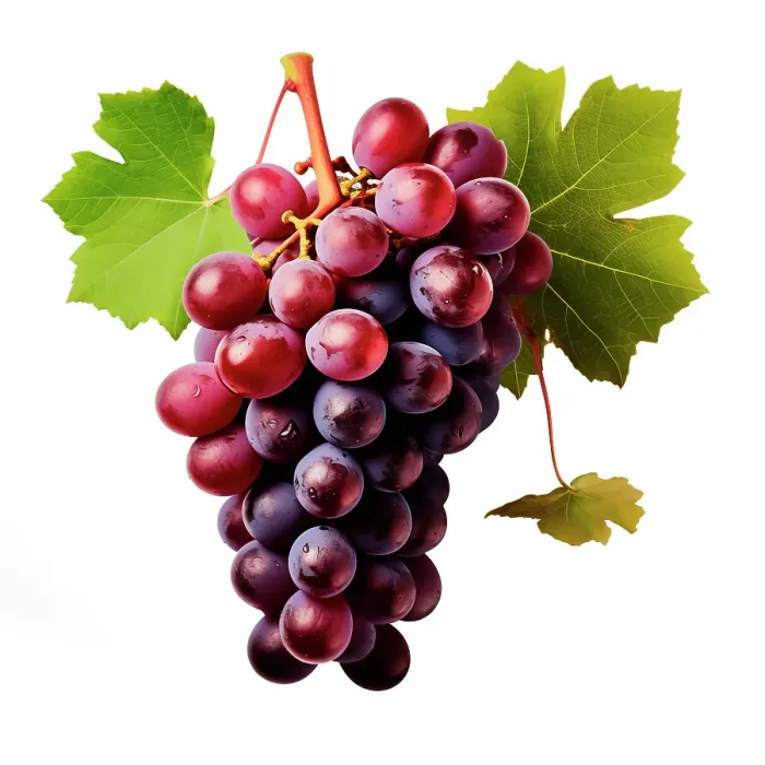 Framed Print : Red grapes close-up. (AI Generated) Framed Print : Red grapes close-up. (AI Generated)