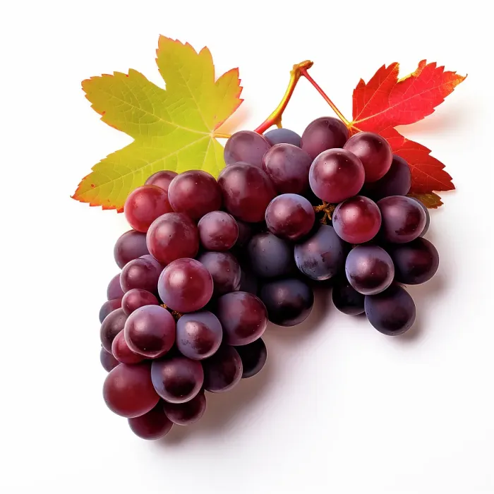 Framed Print : Red grapes close-up. (AI Generated) Framed Print : Red grapes close-up. (AI Generated)