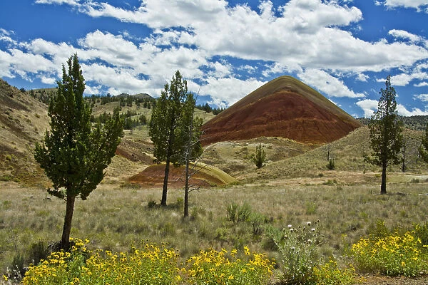 Red Hill, Painted Hills, Mitchell, Oregon, USA