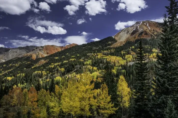 Framed Print : Red Mountain and autumn aspen trees, from Million Dollar Highway, near Ouray, Colorado Framed Print : Red Mountain and autumn aspen trees, from Million Dollar Highway, near Ouray, Colorado