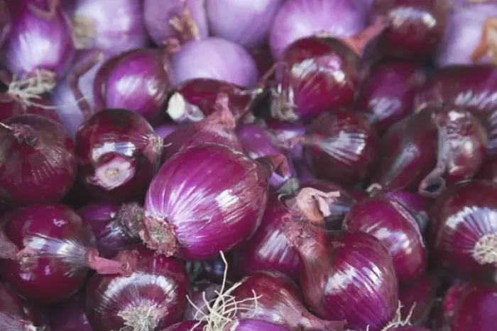 Framed Print : Red onions for sale at the open air market held in Bergerac, France Framed Print : Red onions for sale at the open air market held in Bergerac, France