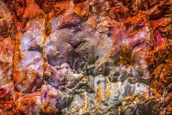 Red, orange and yellow petrified wood abstract, Blue Mesa, Petrified Forest National Park