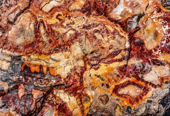 Framed Print : Red, orange and yellow petrified wood abstract, Blue Mesa, Petrified Forest National Park