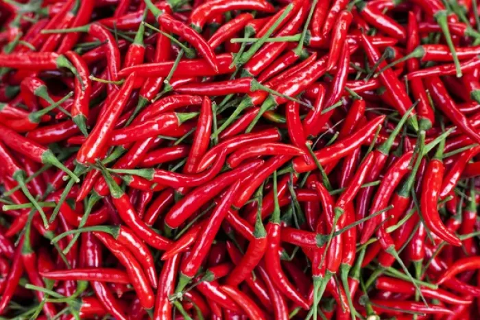 Framed Print : Red peppers for sale in market, Myanmar, (Burma) Framed Print : Red peppers for sale in market, Myanmar, (Burma)
