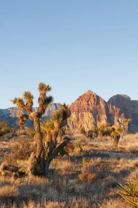 Framed Print : Red Rock Canyon outside Las Vegas, Nevada