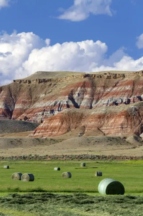 Framed Print : Red rock cliffs and newly harvested alfalfa hay near Dubois, Wyoming, USA Framed Print : Red rock cliffs and newly harvested alfalfa hay near Dubois, Wyoming, USA