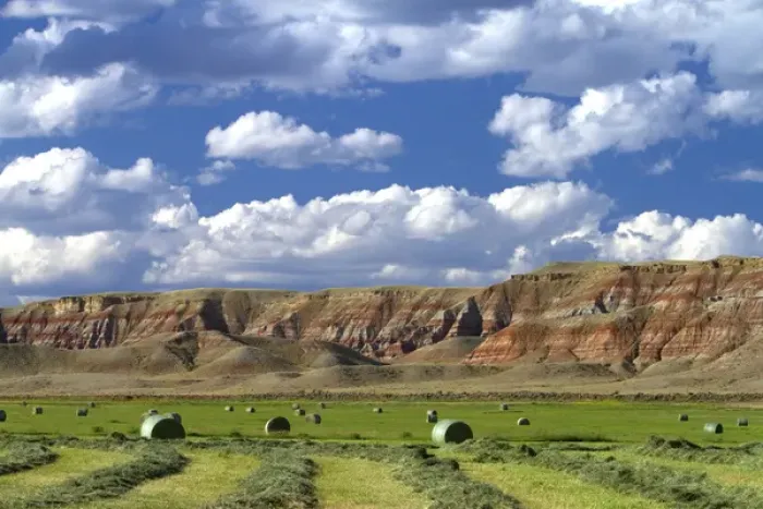 Framed Print : Red rock cliffs and newly harvested alfalfa hay near Dubois, Wyoming, USA Framed Print : Red rock cliffs and newly harvested alfalfa hay near Dubois, Wyoming, USA