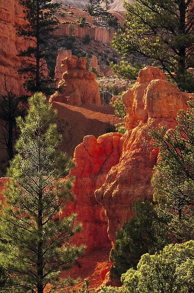 Red Rock; Red Canyon; Utah; USA; nature; scenic; late afternoon; natural wonder