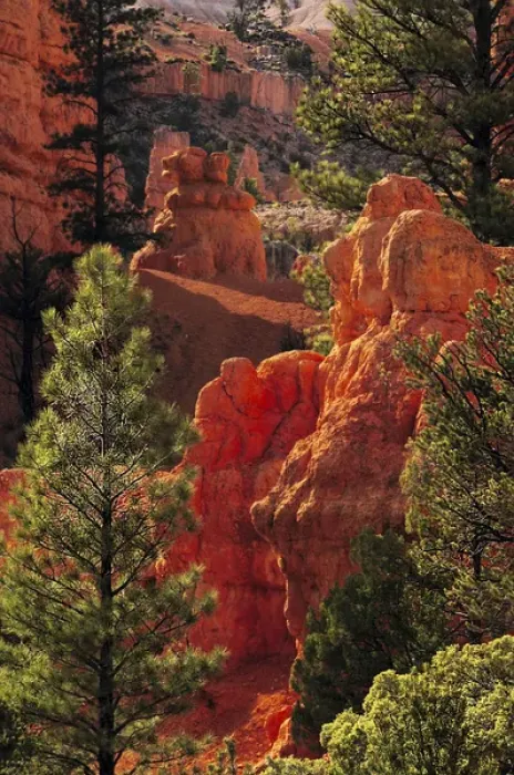 Framed Print : Red Rock; Red Canyon; Utah; USA; nature; scenic; late afternoon; natural wonder