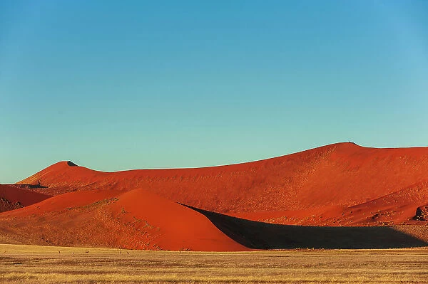 Red Sand dunes against a bright blue sky in the Sossusvlei. Namib Naukluft Park, Namib Desert, Namibia