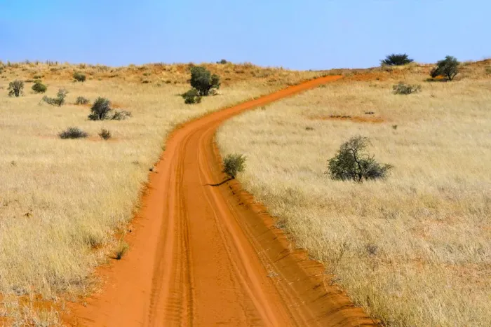 Framed Print : Red sand road in Kgalagadi Transfrontier Park, South Africa Framed Print : Red sand road in Kgalagadi Transfrontier Park, South Africa