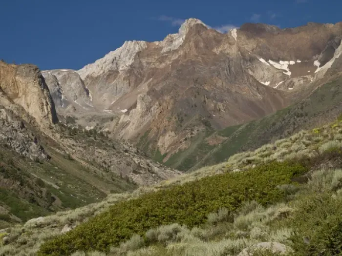 Framed Print : Red and White Mountain, manzanita and sagebrush in foreground, McGee Creek area, Eastern Sierras Framed Print : Red and White Mountain, manzanita and sagebrush in foreground, McGee Creek area, Eastern Sierras