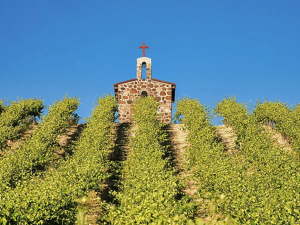 Red Willow Vineyards with stone chapel. (PR)