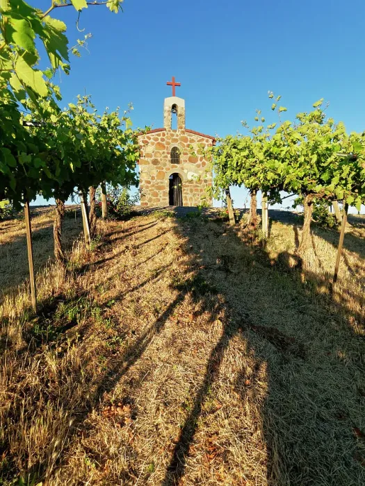 Framed Print : Red Willow Vineyards with stone chapel. (PR)