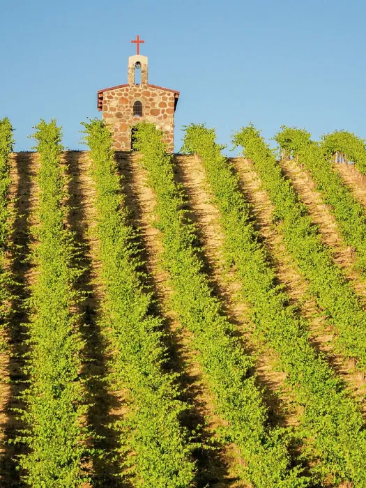 Framed Print : Red Willow Vineyards with stone chapel. (PR) Framed Print : Red Willow Vineyards with stone chapel. (PR)