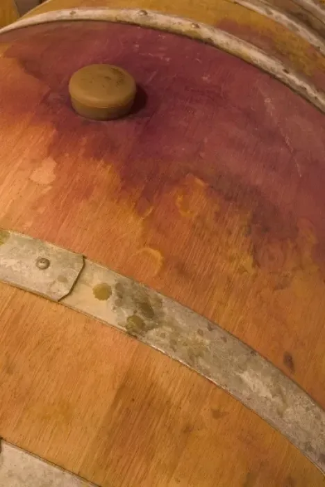 Framed Print : Red wine stain around cork of French oak barrel at Sokol Blosser Winery near Dundee, Oregon, USA