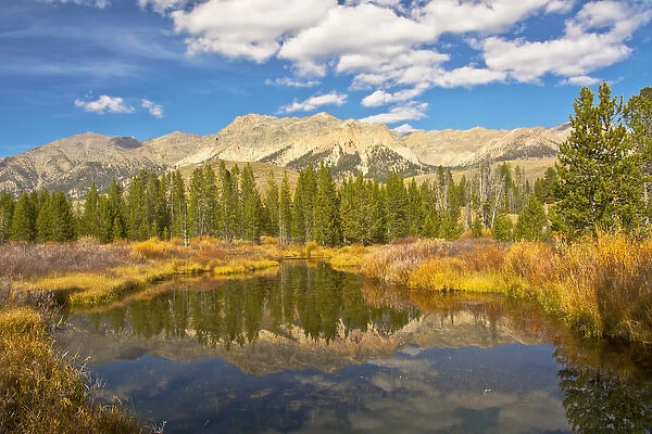 Reflection; Big Wood River; autumn; Sawtooth National Forest: Idaho; USA