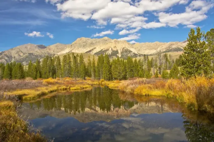 Framed Print : Reflection; Big Wood River; autumn; Sawtooth National Forest: Idaho; USA