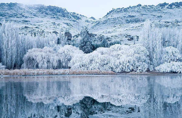 Reflections and Hoar Frost, Butchers Dam, near Alexandra, Central Otago, South Island