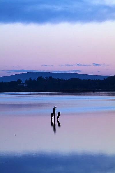 Reflections in New River Estuary at dusk, Invercargill, Southland, South Island