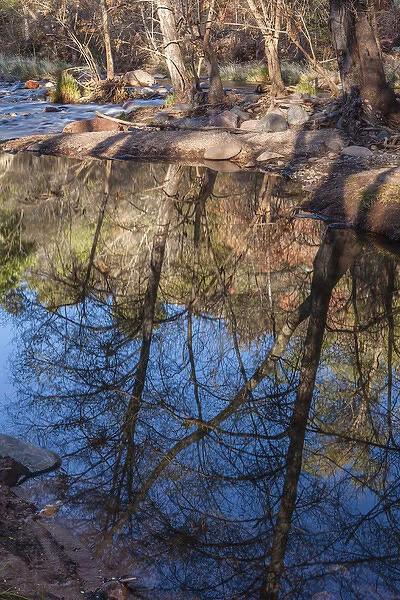 Reflections in Oak Creek at Low Water