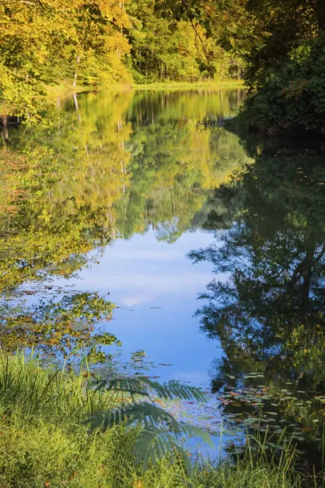 Framed Print : Reflections, Otter Lake, Blue Ridge Parkway, Smoky Mountains, USA Framed Print : Reflections, Otter Lake, Blue Ridge Parkway, Smoky Mountains, USA