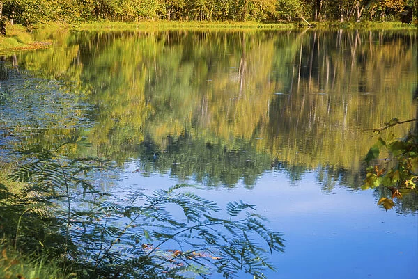 Reflections, Otter Lake, Blue Ridge Parkway, Smoky Mountains, USA