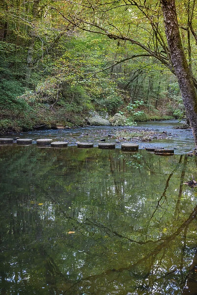 Reflections in Otter Lake Creek, Blue Ridge Parkway, Smoky Mountains, USA