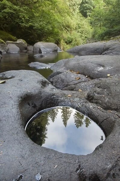 Reflections in Sweet Creek, Oregon, USA