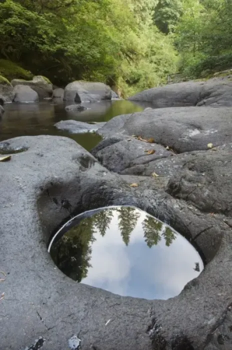 Framed Print : Reflections in Sweet Creek, Oregon, USA Framed Print : Reflections in Sweet Creek, Oregon, USA