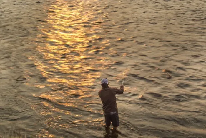 Framed Print : Reid Sabin fly fishing at sunrise on the Madison river near Ennis, Montana, USA (MR) Framed Print : Reid Sabin fly fishing at sunrise on the Madison river near Ennis, Montana, USA (MR)
