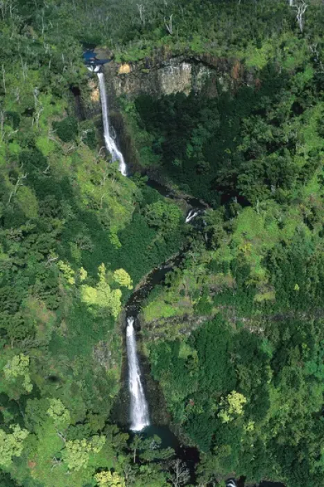 Framed Print : Remote waterfalls on the island of Kauai, Hawaii. hawaii, south pacific, island Framed Print : Remote waterfalls on the island of Kauai, Hawaii. hawaii, south pacific, island