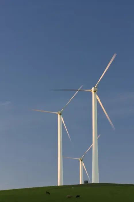 Framed Print : Renewable energy through wind power is collected via wind turbines in northern California s Framed Print : Renewable energy through wind power is collected via wind turbines in northern California s