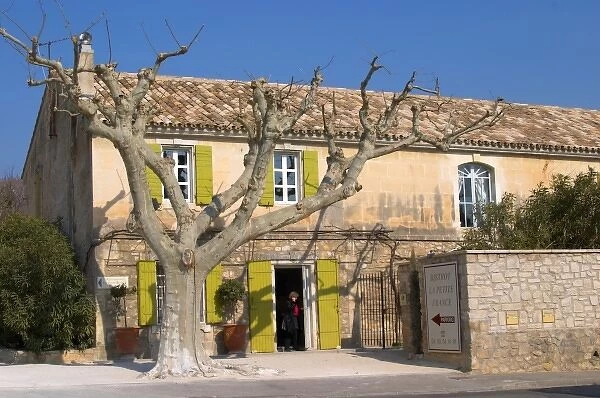The restaurant Bistrot La Petite France in Le Paradou with a naked tree and a person