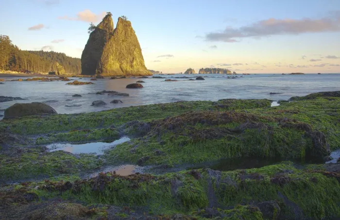 Framed Print : Rialto Beach Olympic National Park in Clallam County, Washington State Framed Print : Rialto Beach Olympic National Park in Clallam County, Washington State
