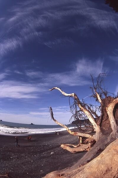 Rialto Beach, Olympic National Park, Washington, US