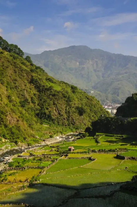 Framed Print : Along the rice terraces from Bontoc to Banaue, Luzon, Philippines Framed Print : Along the rice terraces from Bontoc to Banaue, Luzon, Philippines