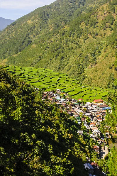 Along the rice terraces from Bontoc to Banaue, Luzon, Philippines