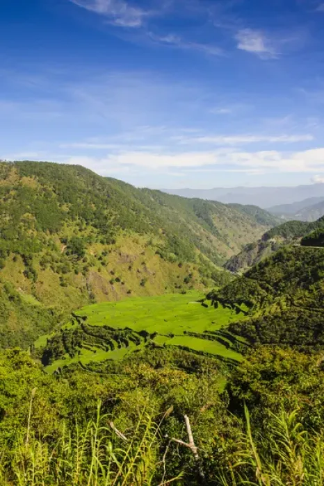 Framed Print : Along the rice terraces from Bontoc to Banaue, Luzon, Philippines Framed Print : Along the rice terraces from Bontoc to Banaue, Luzon, Philippines