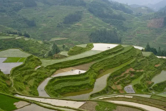 Framed Print : Rice Terraces, Eastern Guizhou Province, China
