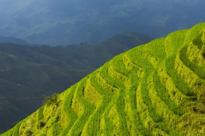 Framed Print : Rice terraces in the mountain, Longsheng, Guangxi Province, China