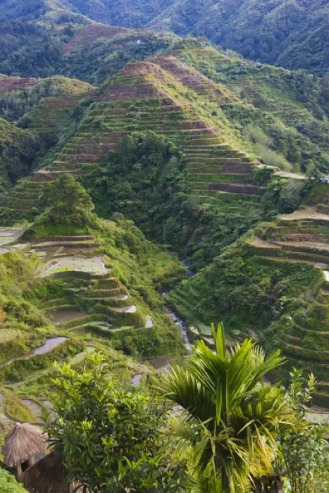 Framed Print : The Rice Terraces of the Philippine Cordilleras, UNESCO World Heritage site, Banaue Framed Print : The Rice Terraces of the Philippine Cordilleras, UNESCO World Heritage site, Banaue